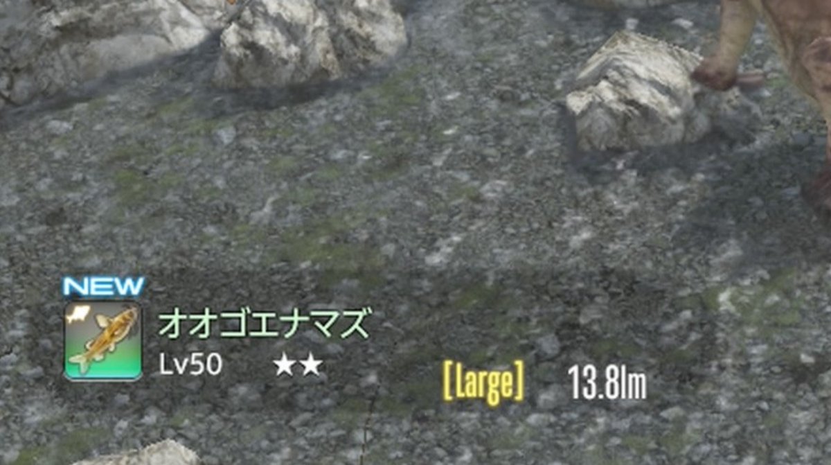 Bonobu312's tweet photo. 一投目で激震3を逃し、沼るかと思ったが、三投目で釣れました🐟

相変わらず、引きだけで何とかなってます🤣

 #FF14 https://t.co/eGgXYmvHxA
