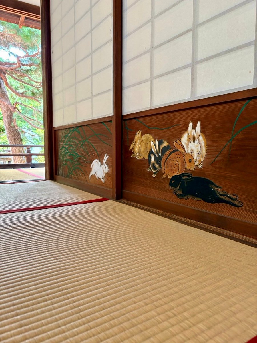 souda_kyouto's tweet photo. 可愛いお守みくじを発見🔍
📍旧嵯峨御所 大本山 大覚寺

ポーズがとっても愛らしい、野うさぎのお守みくじ🐇❣️
こちらのお守みくじは、重要文化財である正寝殿の腰障子に描かれた「野兎図」をモチーフにしたものです。

この「野兎図」は通常非公開ですが、10/9から大覚寺で開催される秋季名宝展では特別公開されるとのこと！
貴重な機会をお楽しみに！局員

＃そうだ京都行こう