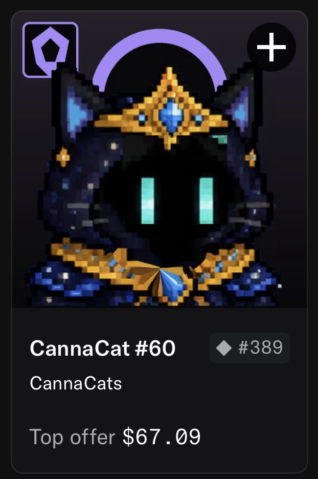 RoaringPiggy's tweet photo. Cannacats keep delivering. 

I received another Cannacat for just simply holding my Cannacats.

Giving away this Cannacat #60 

Like, Quote Repost, Follow @CannaCatMeme https://t.co/naUHnoJ1QC