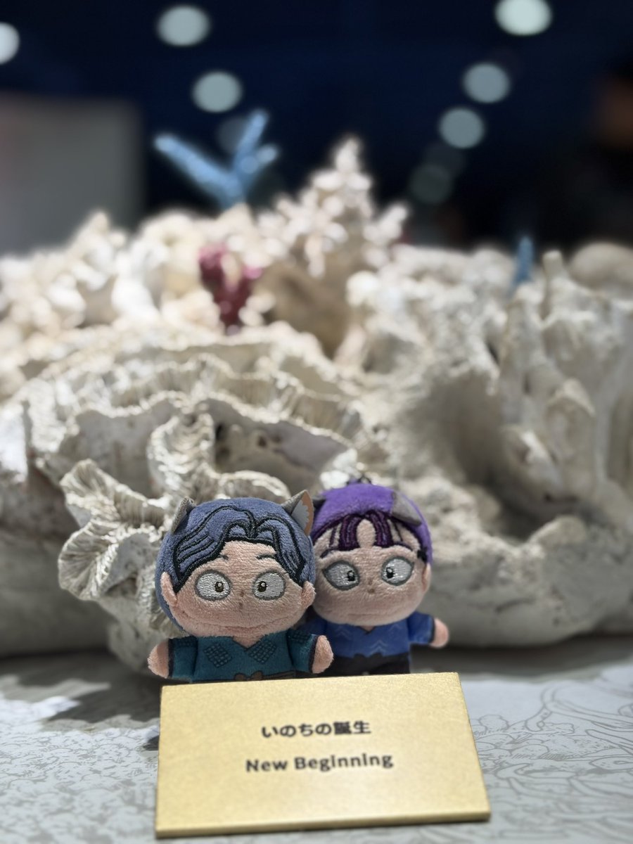 lynadio's tweet photo. いのち…！ https://t.co/CvGBmwwBIu