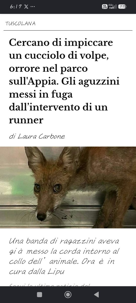 FRANCESCOBONFA7's tweet photo. MA QUESTI DEMONI MINORENNI DI CHI SONO FIGLI????
😡😡😡 https://t.co/wg22xZX9lS