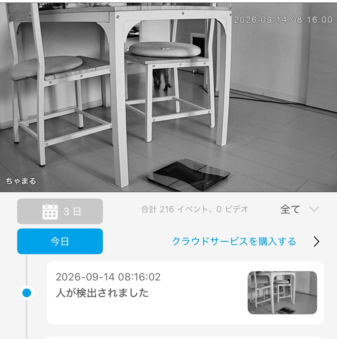 yapitamQ's tweet photo. 8:16に検出されて以降全くペットカメラに写ってないんだけど、夜と朝暴れて昼は寝るってこと？？ねこ🐱 https://t.co/vNz2Ma3sC7