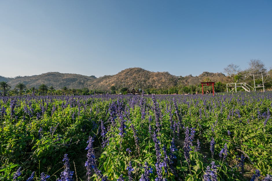 LashayMarske's tweet photo. الحياة لما الداخلية الحياة الأفضل تبتسم القوة يعلم في أوقات الصبر. erich sininger😝 https://t.co/AGLqWpS5Cp