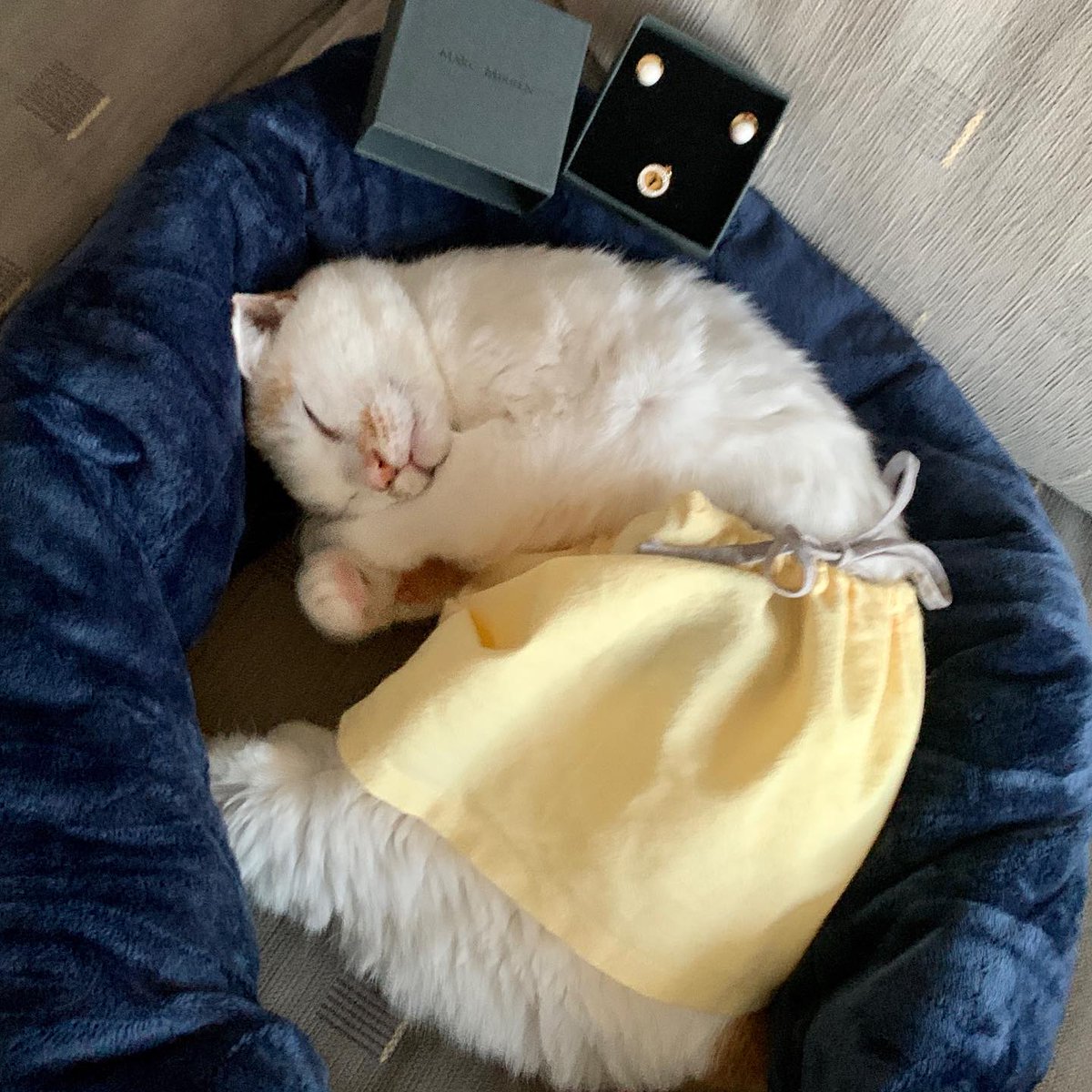 SeanEssonase4's tweet photo. 重なり合う時間の中に、違和感を探してしまう。噛み合わない歯車を無理に回す必要はないのかも。距離感って、難しい。 https://t.co/4QxMV6eaLx