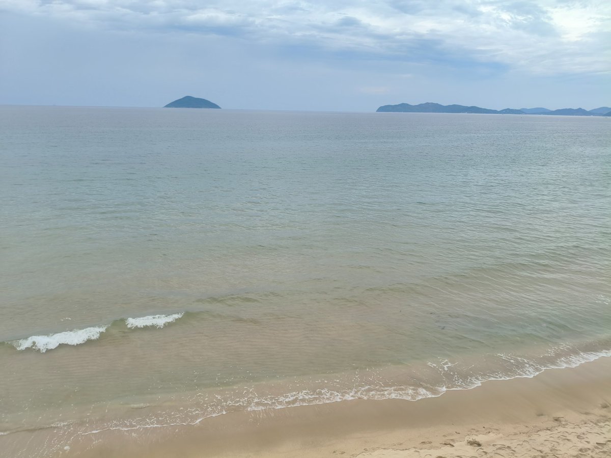 omimi666's tweet photo. 糸島の砂浜ってマジで綺麗なんよなー。細かい貝殻が色んな色で混ざってクソ綺麗なんです。北海道の砂浜と色が全然違うんです、白浜は道民が見て感動しました。
ありがとう糸島。 https://t.co/NWBOuxRFjq
