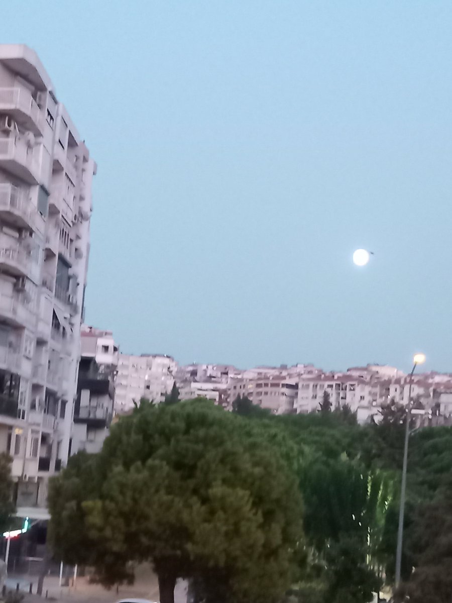 mistralll35's tweet photo. Sağlıklı, huzurlu, mutlu, helâl kazançlı bir gün ve hafta olsun inşâALLAH. #pazartesi
#huzurlubirhaftaolsuninşâAllah https://t.co/Ja5xvMN62Q