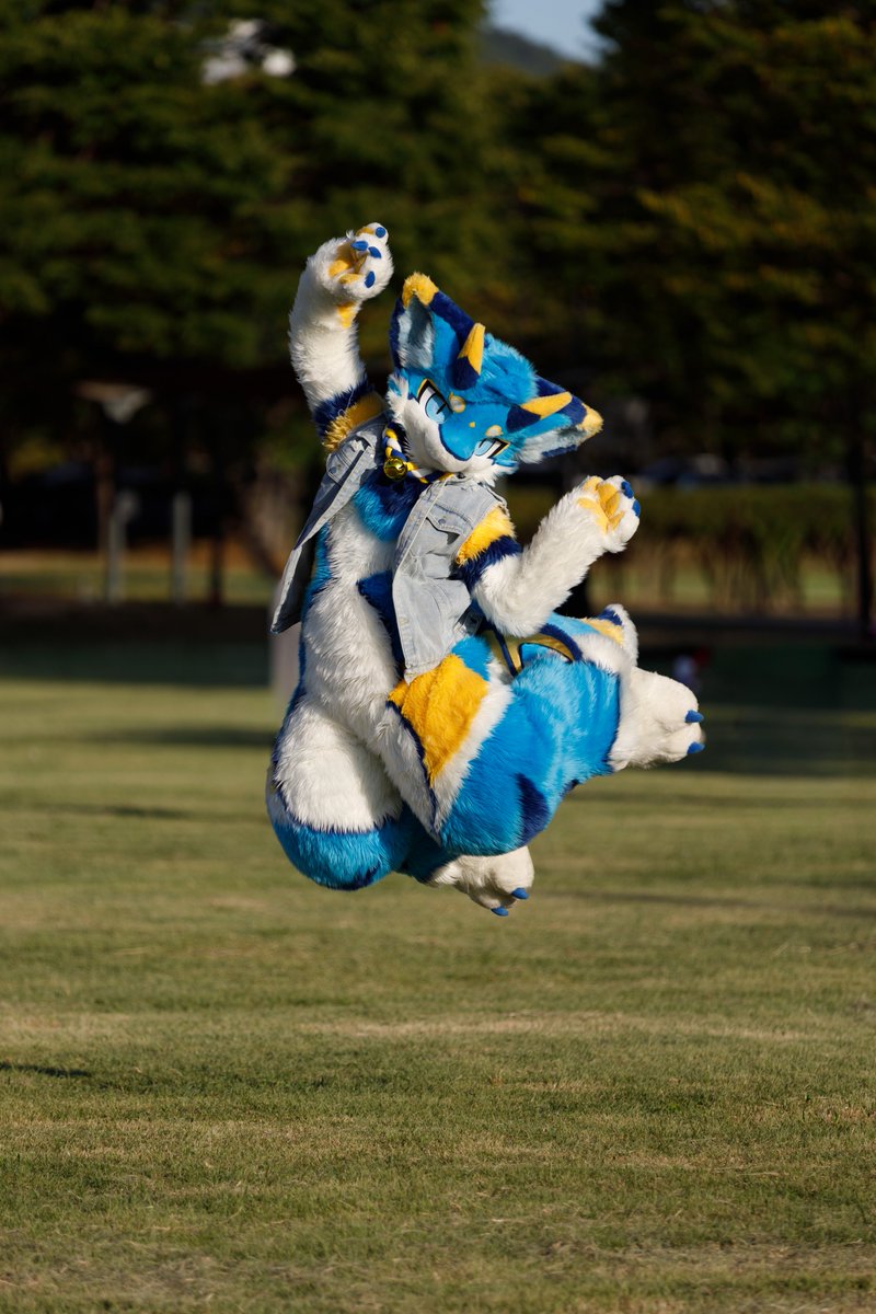 Dragon_Siul's tweet photo. Jump~!
#FursuitEveryday #Furmony https://t.co/PaRBJeoGbC