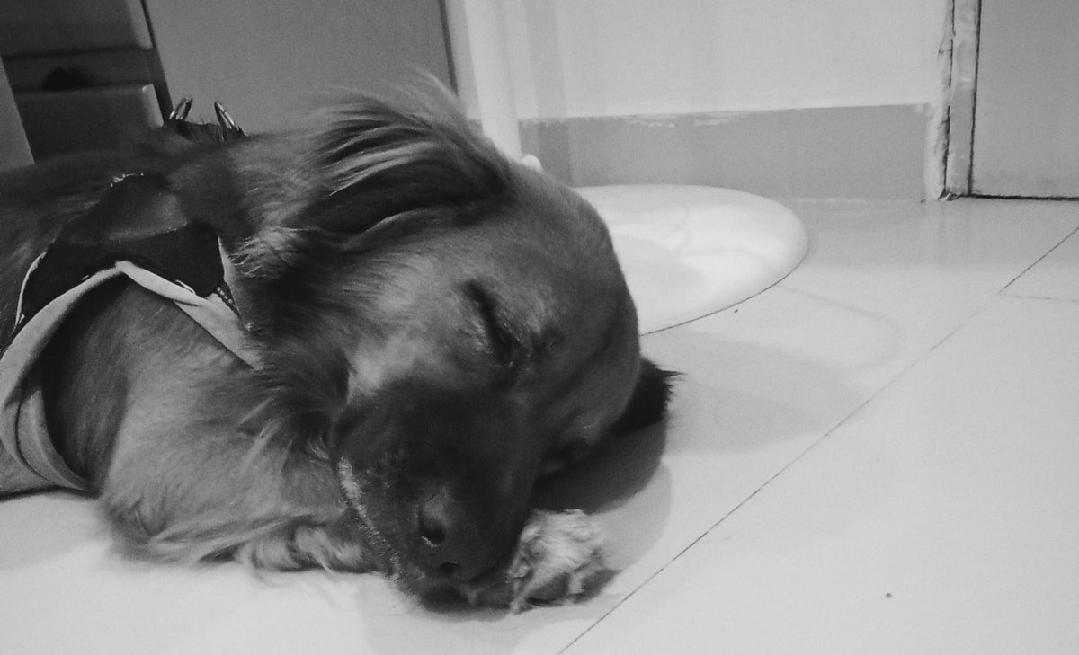 rvulixz's tweet photo. Vean a mi hijo https://t.co/GXvkTX5KSV
