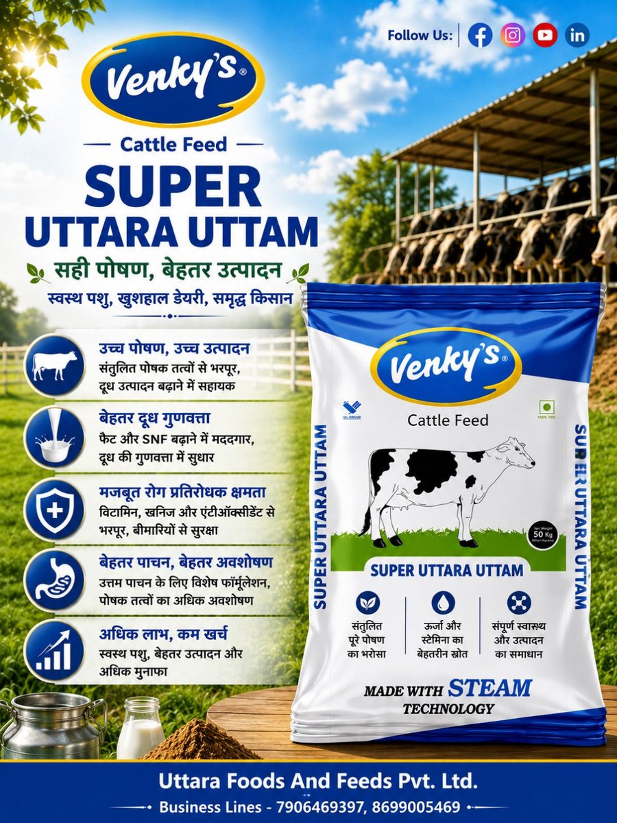 VenkyFeed's tweet photo. सही पोषण बने बेहतर उत्पादन की पहचान। Venky’s Super Uttara Uttam पशुओं के बेहतर पाचन, स्वास्थ्य और दूध की गुणवत्ता में सहयोग करता है। 🐄🥛

📞 7906469397, 8699005469

#venkys #venkyscattlefeed #uttarafoodsandfeeds #cows #dairyfarming https://t.co/Eh1jnPI8j9
