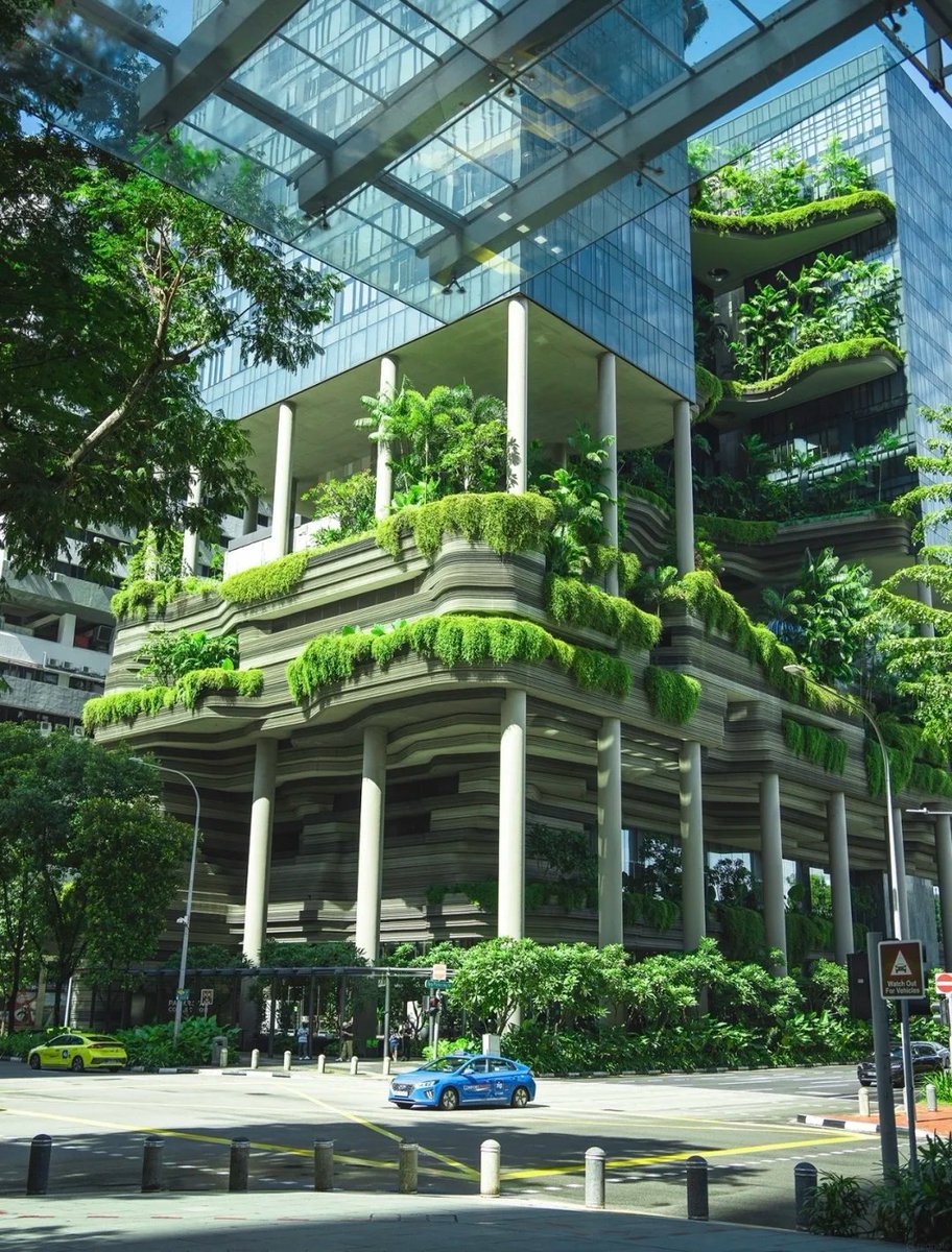 bxzvr0's tweet photo. Let me share some of Singapore's unique architecture with you. https://t.co/b5Q7eL2KU8