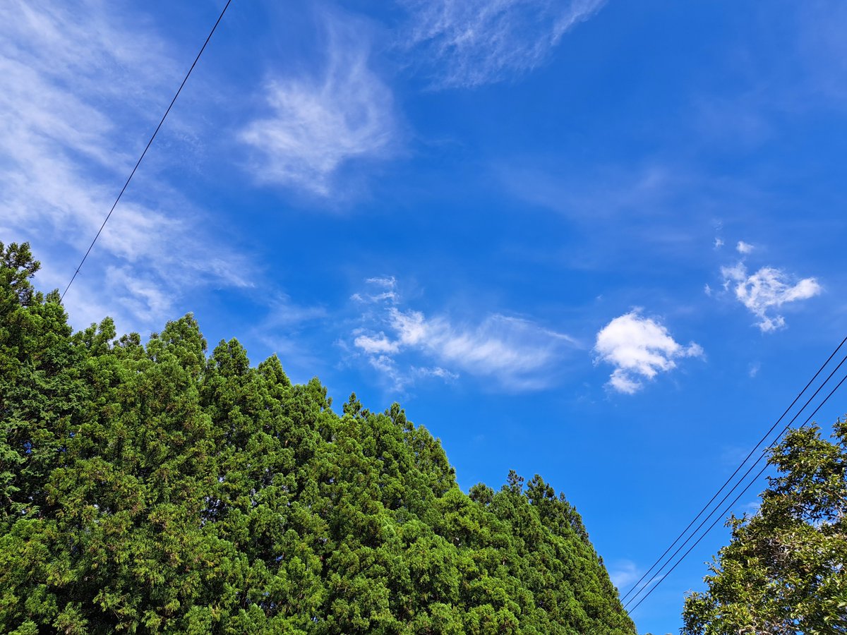 makochan19909's tweet photo. 夏と秋が行き交う空
これを待っていた https://t.co/BafeyI1hQf