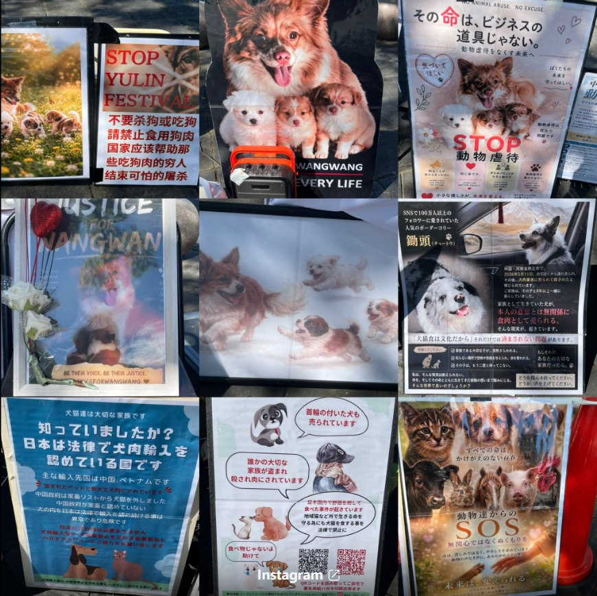 whyyoutouzhele's tweet photo. 9月13日，日本宫崎民众在宫崎站西口广场举行旺旺一家追悼及动物保护宣传活动。
现场设置献花台，摆放旺旺与幼犬的照片，桌上堆满民众献上的鲜花；
周围陈列“Justice for WangWang”“停止动物虐待”“要求中国制定保护动物的法律”“停止玉林狗肉节”等展板。

参与者还开展手写签名活动，呼吁日本禁止进口犬肉及食用犬猫肉。活动期间，宫崎站前大屏幕播放了旺旺一家的追悼影片。