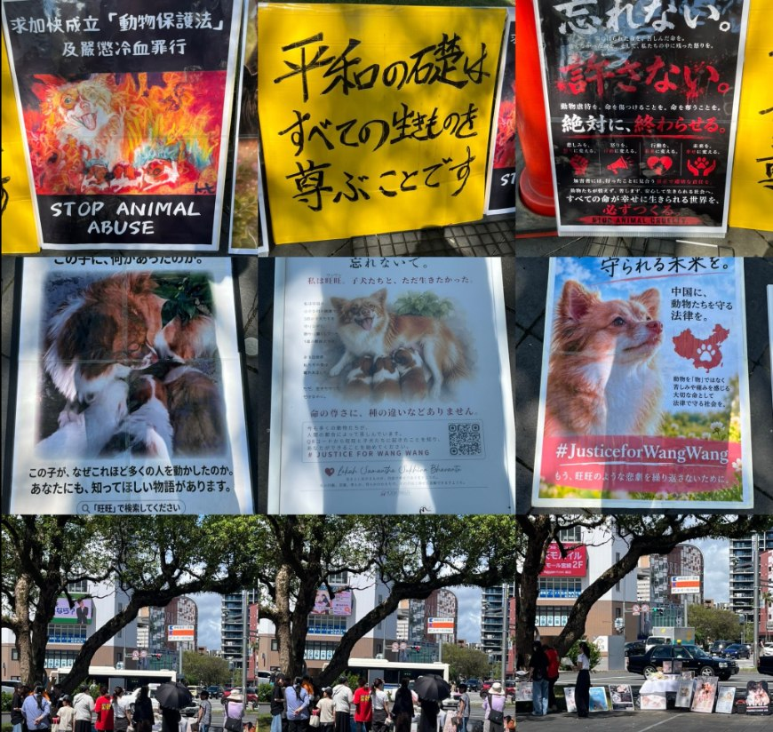whyyoutouzhele's tweet photo. 9月13日，日本宫崎民众在宫崎站西口广场举行旺旺一家追悼及动物保护宣传活动。
现场设置献花台，摆放旺旺与幼犬的照片，桌上堆满民众献上的鲜花；
周围陈列“Justice for WangWang”“停止动物虐待”“要求中国制定保护动物的法律”“停止玉林狗肉节”等展板。

参与者还开展手写签名活动，呼吁日本禁止进口犬肉及食用犬猫肉。活动期间，宫崎站前大屏幕播放了旺旺一家的追悼影片。