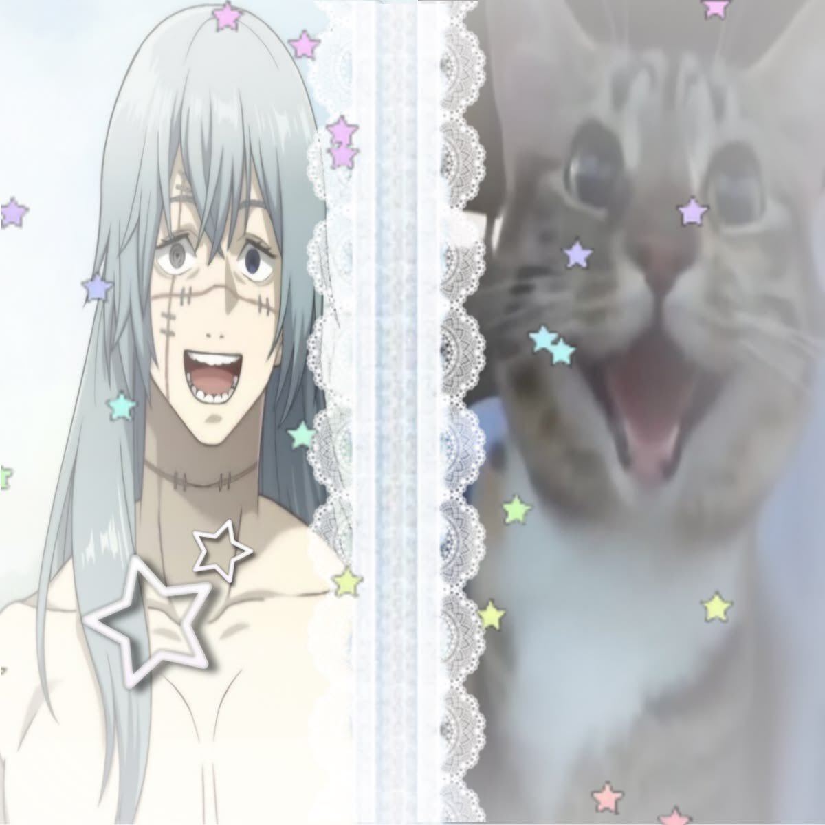dumbapricott's tweet photo. https://t.co/0V3EqfmVgd