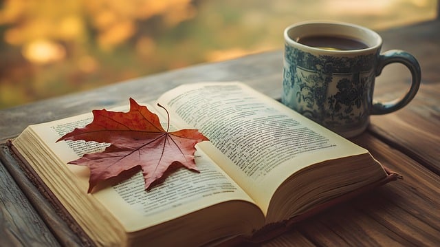 789arturo's tweet photo. 🍂 النجوم الهادئة تلهم الضياء كل يوم 🍂
TBMvuOsS https://t.co/Yhfoq6Dwzn