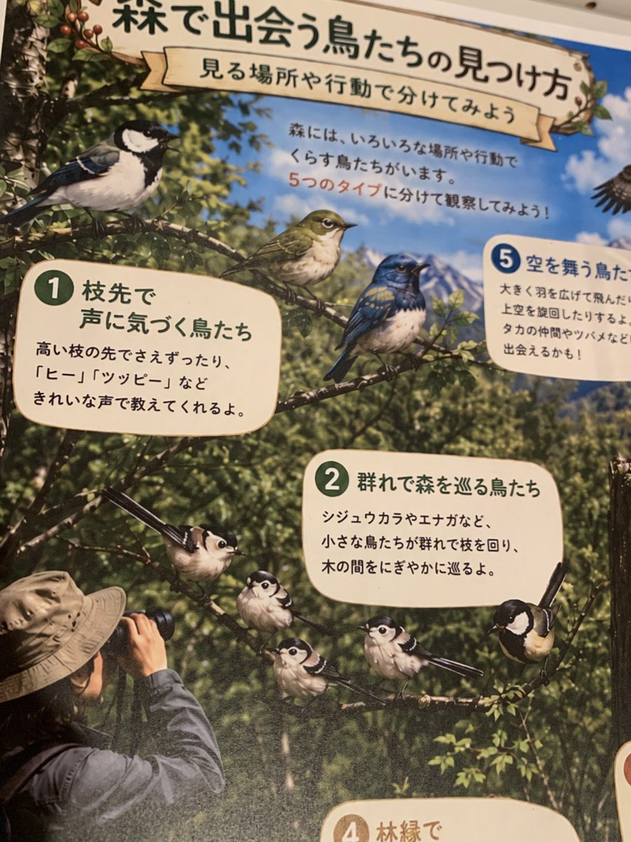muknum_hsbr's tweet photo. ビジターセンターの展示がこれでショックを受けてる…… https://t.co/NyJuQdeEJK