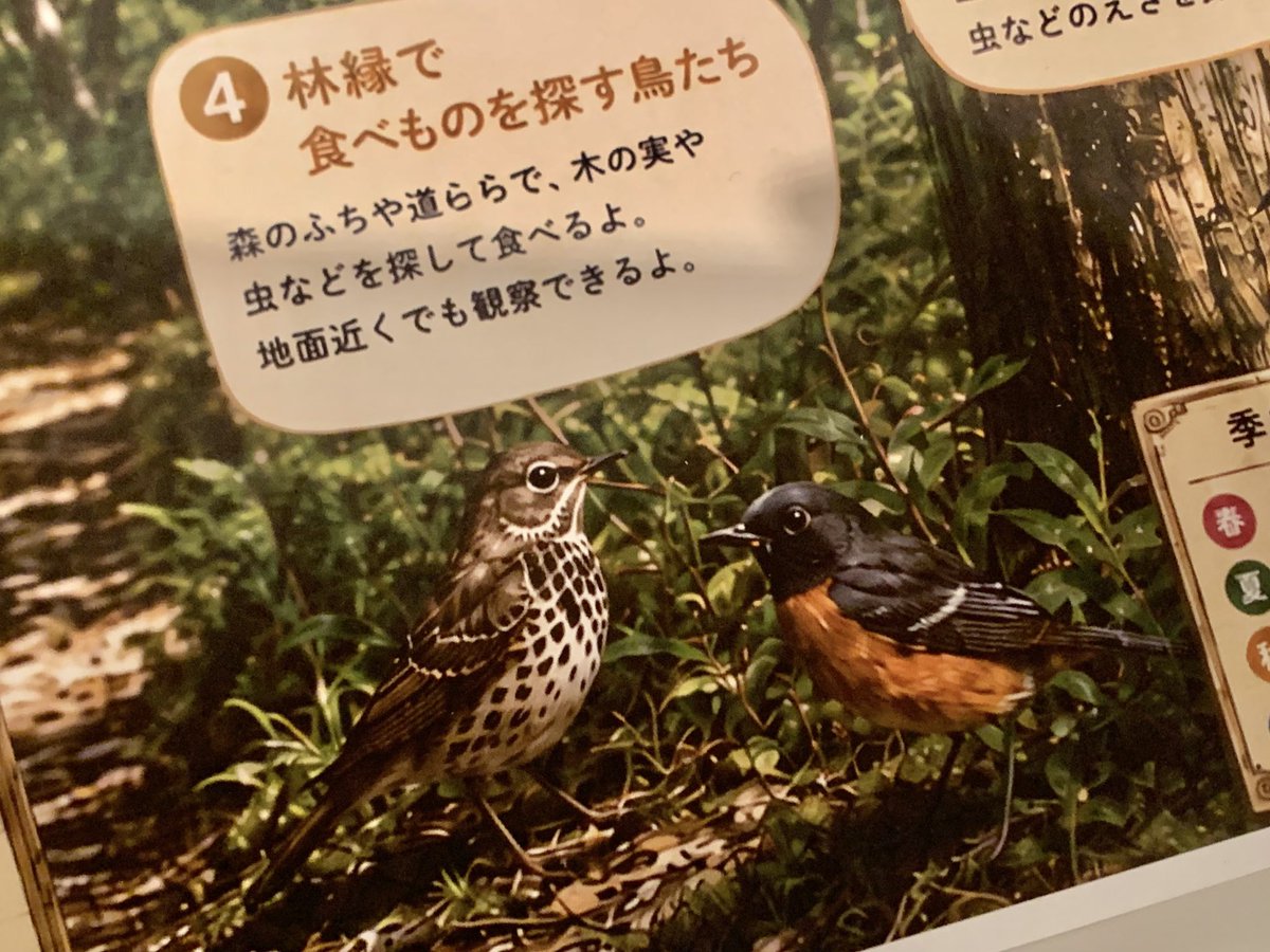 muknum_hsbr's tweet photo. ビジターセンターの展示がこれでショックを受けてる…… https://t.co/NyJuQdeEJK