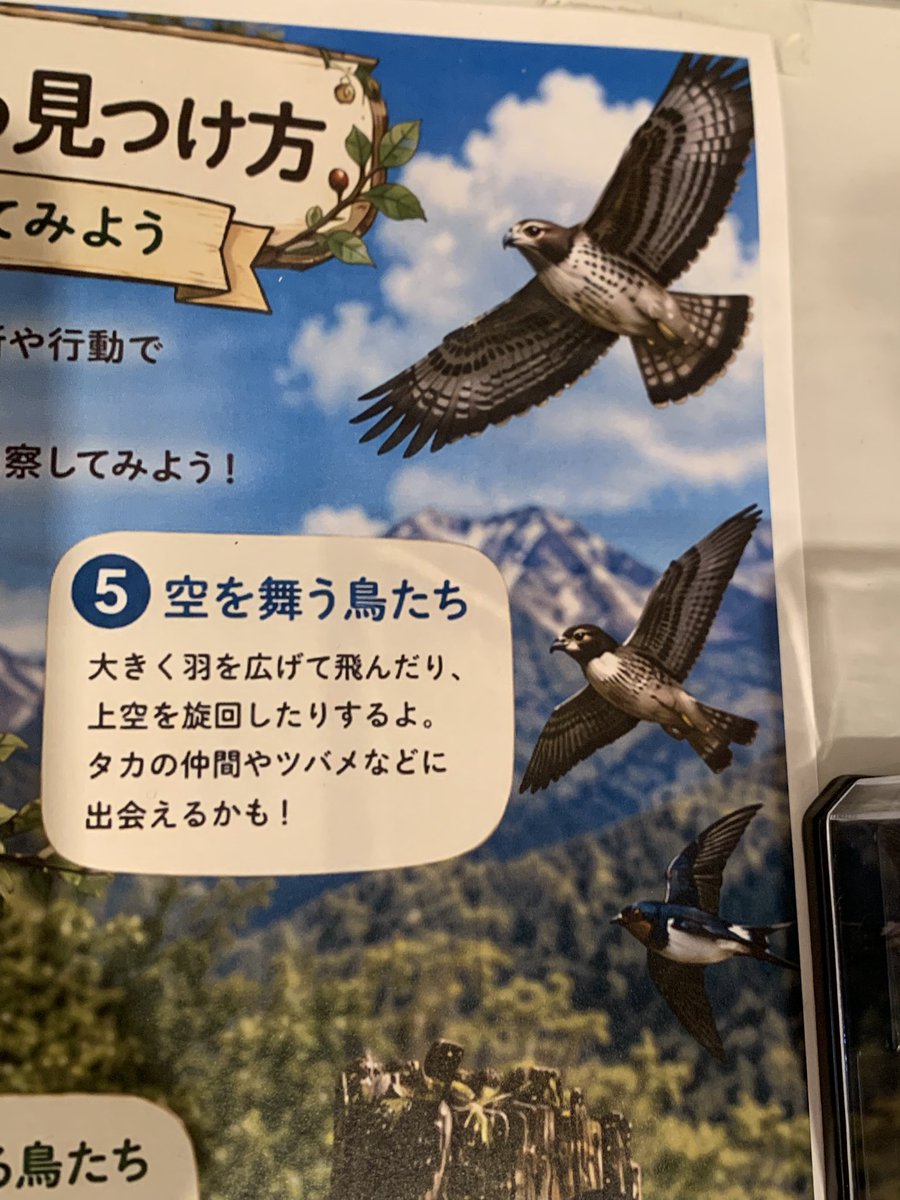 muknum_hsbr's tweet photo. ビジターセンターの展示がこれでショックを受けてる…… https://t.co/NyJuQdeEJK