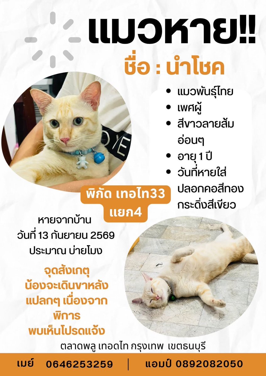 IXM_9490BZ0198's tweet photo. แมวน้าเราหาย ฝากทุกคนรีหน่อยนะคะ อยากให้เจ้าเด็กได้กลับบ้าน ขอบคุณล่วงหน้านะคะ🥹🙏🏻

ปล. ข้อมูลน้องตามในรูปนะคะ ขอบคุณค่ะ

#ตามหาแมว #แมวหาย
#ตลาดพลู #เทอดไทย #ธนบุรี https://t.co/D3qy6GVRFd