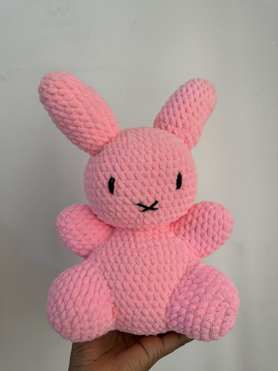 OreAkinde's tweet photo. Hi twitter, here are the new crochet plushies I made 🧶 https://t.co/TMDnUvHWvp