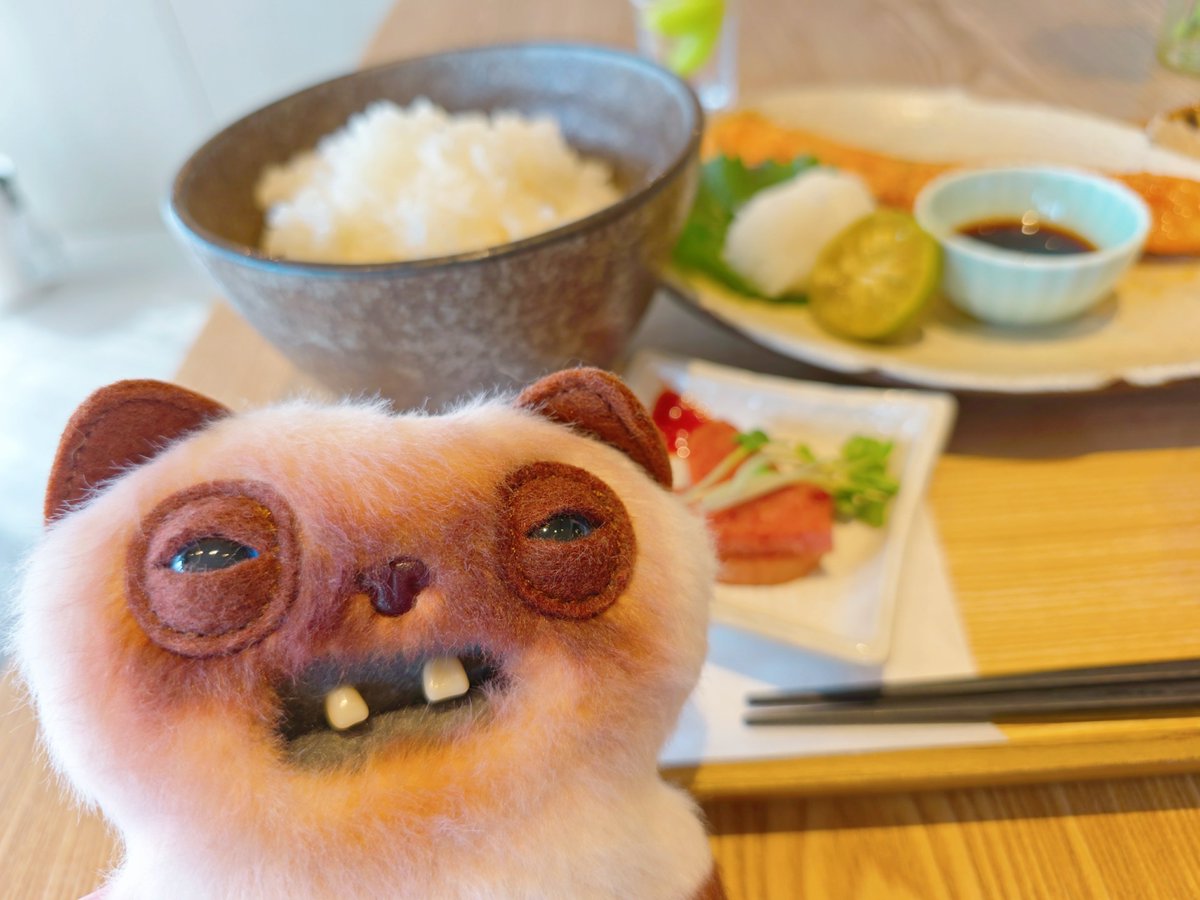 ImpulseOf's tweet photo. ヨーパー
自炊しない家に来ちゃったから白米を見るの初めてだね
──THE FIRST RICE🍚
#fuggler #BabyFugg #ALLEYCATS #YAWPER #ファグラー #ファグラーとの生活 #ぬい活 https://t.co/C7zzj02Dqk