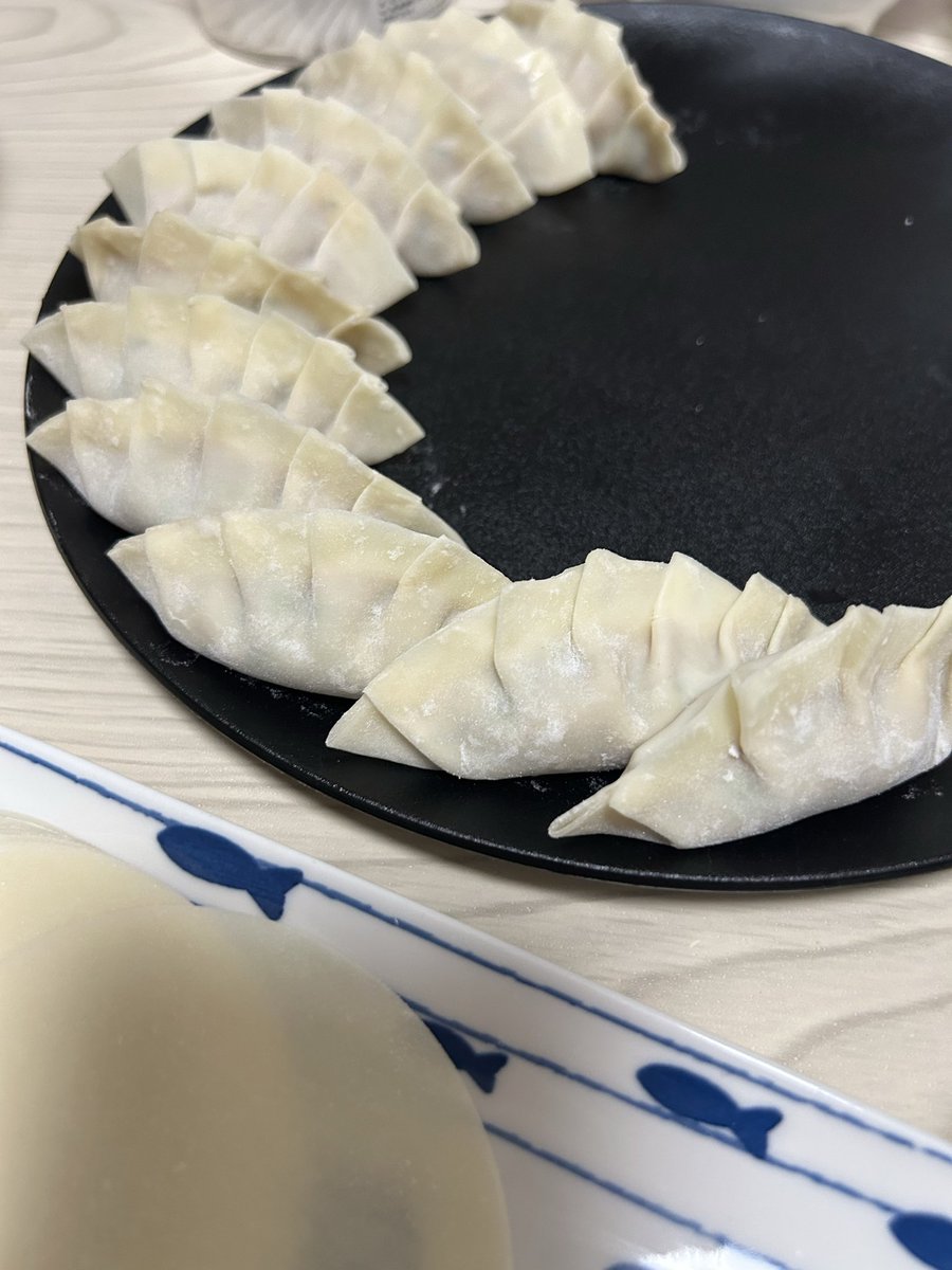 Kpwp6C's tweet photo. 暇やから餃子作った白いお皿と黒いお皿どっちが綺麗？w https://t.co/IMQvc2N0TB