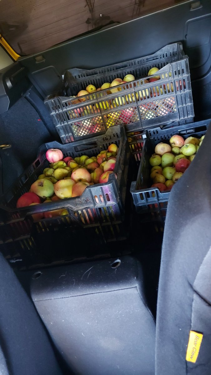Simbbu_art's tweet photo. Just few apples is about to get juiced https://t.co/QT6AsQ5wfV