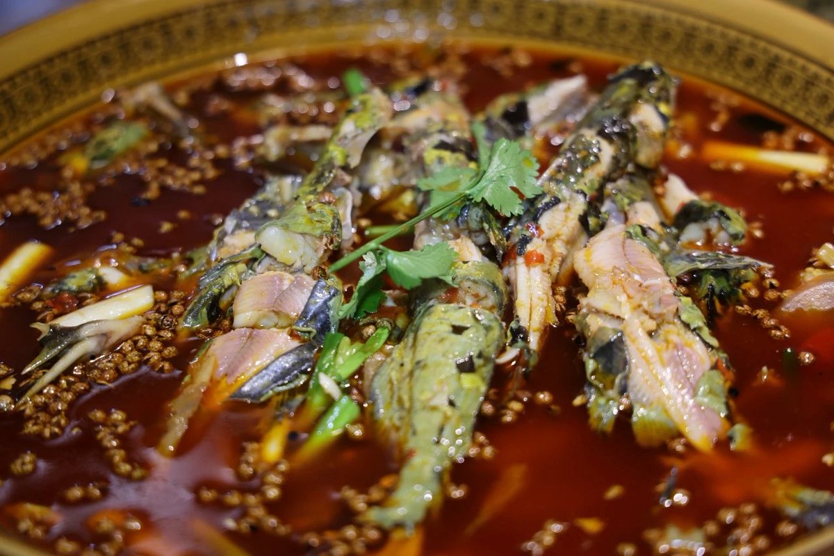 wnjyn1's tweet photo. 太想念家乡的这家老鱼馆了，番茄味、麻辣味、酸菜味......各种味道的鱼，想想都流口水啦！ https://t.co/ZOVLMvSGvo