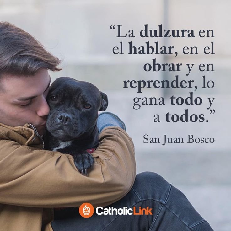 gdutanv's tweet photo. Estamos llamados a resignificar el kerigma pascual para proponerlo a los jóvenes de hoy; para redescubrir su dinámica en los distintos ámbitos de la convivencia social, del trabajo, de la educación y del cuidado de la creación. https://t.co/9YUubcgqTm