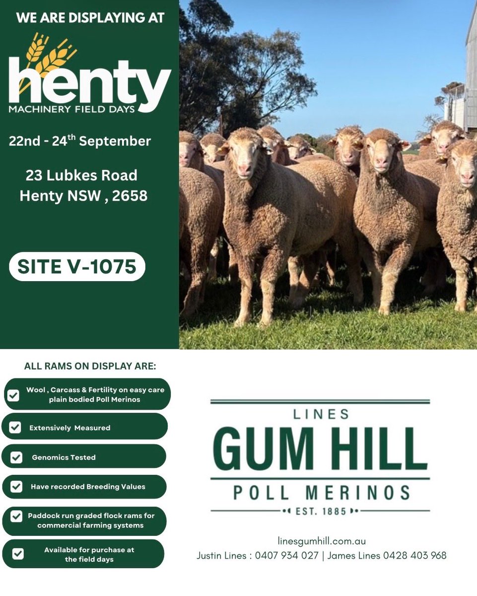 GumHillPoll's tweet photo. We’re back to Henty next week for the field days! We really enjoyed our time last year and look forward to getting back to NSW very soon and catching up 🐑 @lines_james27 https://t.co/e5DDNjWtRt