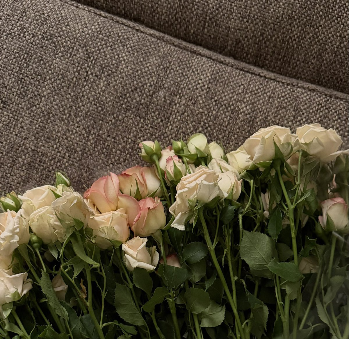 lllivue's tweet photo. Some flowers mean more than words ever could ❤️ https://t.co/Lr35OTHtH7