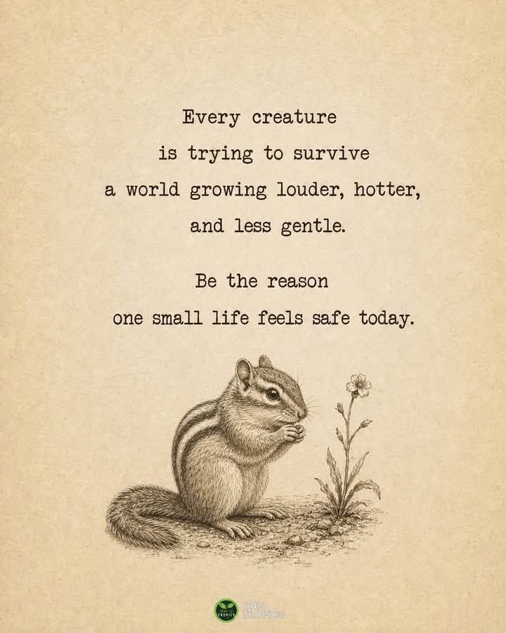 gnome_chip's tweet photo. https://t.co/binGJXltoy