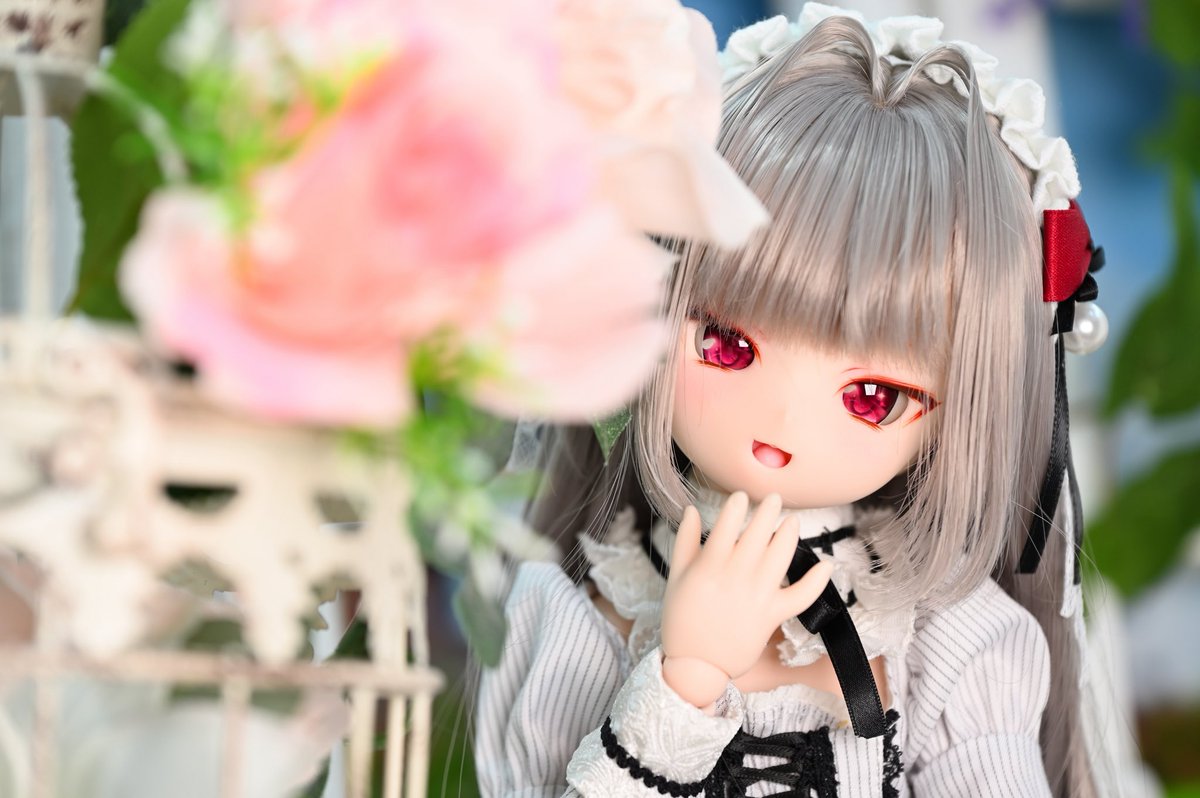 MoonEar335's tweet photo. ちらっ…
「やっほー」

MarionnetteZONEさんで撮影してきました
#マリゾー
#うちのこかわいい https://t.co/UjlBwsArz5