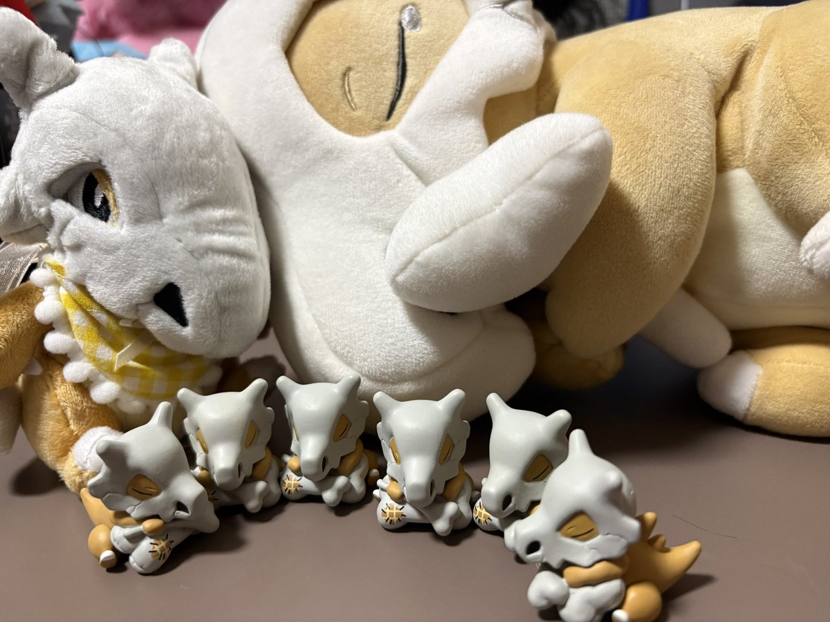akane___collar's tweet photo. ねんねんこカラカラと
ベビカラちゃんと
すやすやカラカラ６匹

かわいいねぇ、かわいいねぇ、かわいいねぇぇぇ！！！！！！！！！

#ベビカラ https://t.co/OBR8pFq3Jo