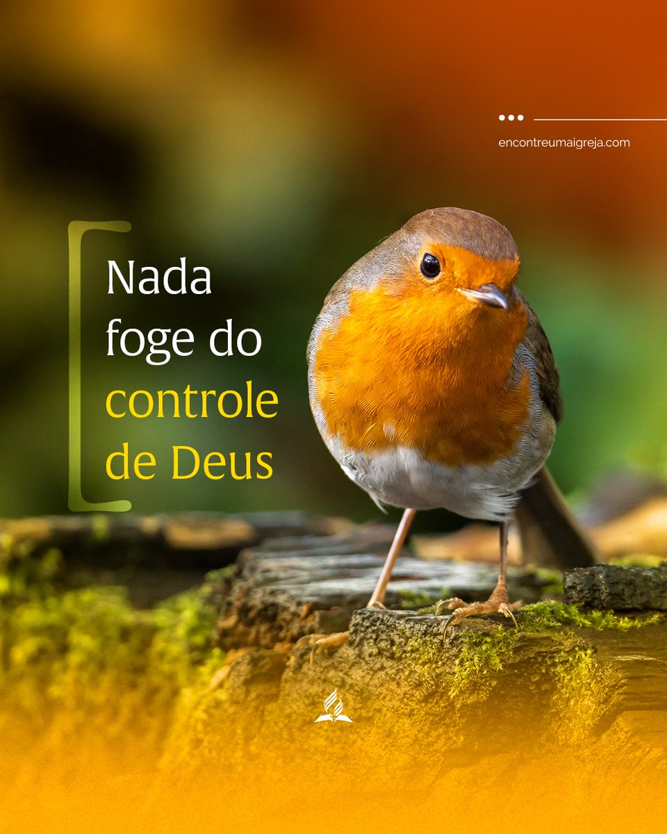 AdventistasSP's tweet photo. Nem tudo está sob o seu controle, mas tudo continua nas mãos de Deus. Mesmo quando você não entende o caminho, pode confiar em Quem enxerga a história inteira. “Nenhum deles cai no chão sem o consentimento do Pai de vocês.” Mateus 10:29#adventistassp #adventistasemsaopaulo https://t.co/vcRYiW0dRx
