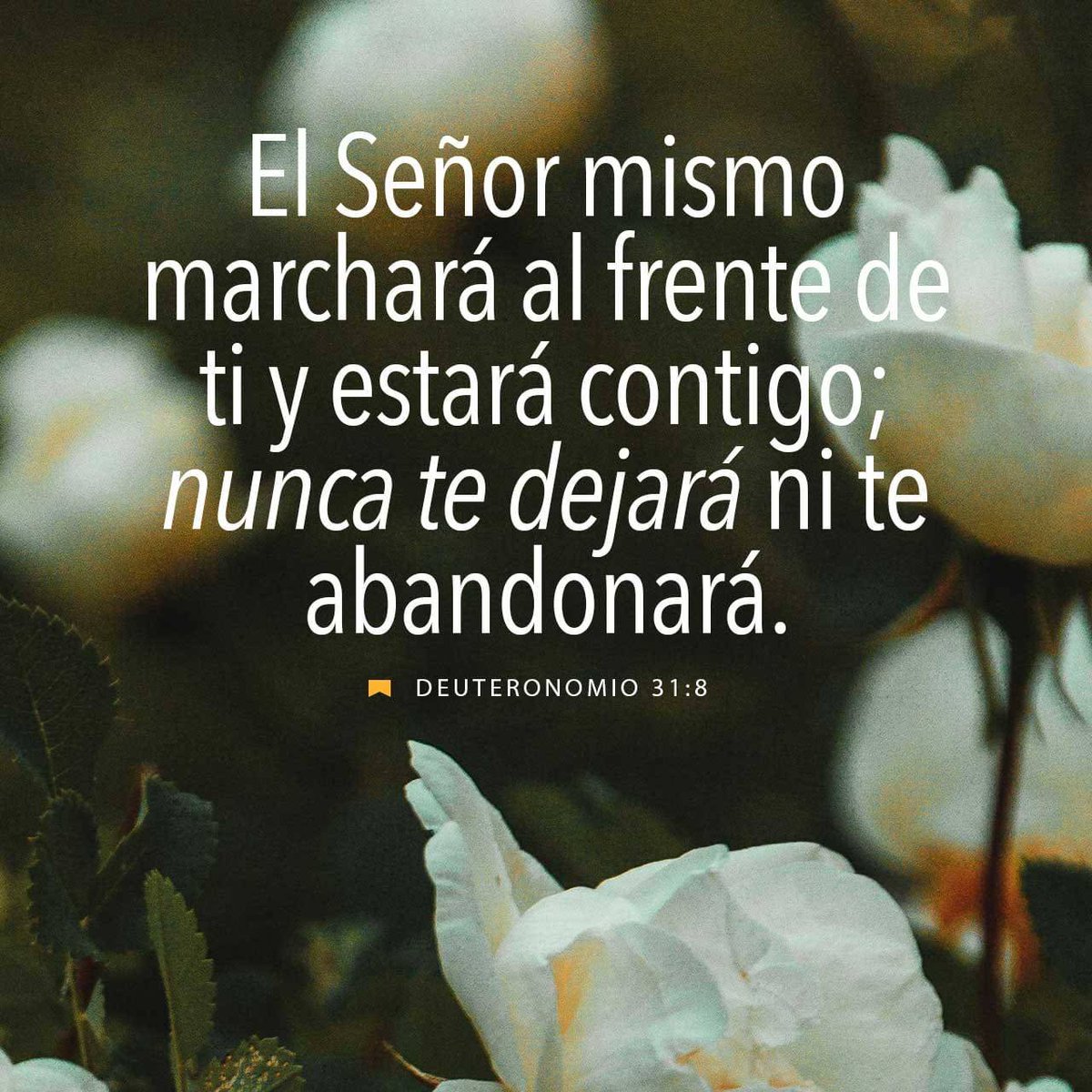AlexBikers's tweet photo. Buen día para todos que tengan un excelente inicio de semana bendiciones para todos 🙏🌄❤️🙌😊🤗

https://t.co/5QPN9GCVDy https://t.co/IqytzNRR2u