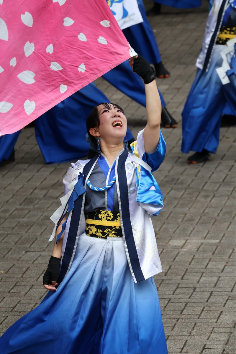 amakara_06's tweet photo. 2026.8.29~8.30｡❀
ｰ ｰ原宿表参道元氣祭 スーパーよさこいｰ ｰ

#原宿表参道元氣祭スーパーよさこい
#スパよさ
#桜家一門YOSAKORI隊 
#桜家 https://t.co/uKMasSpVdb
