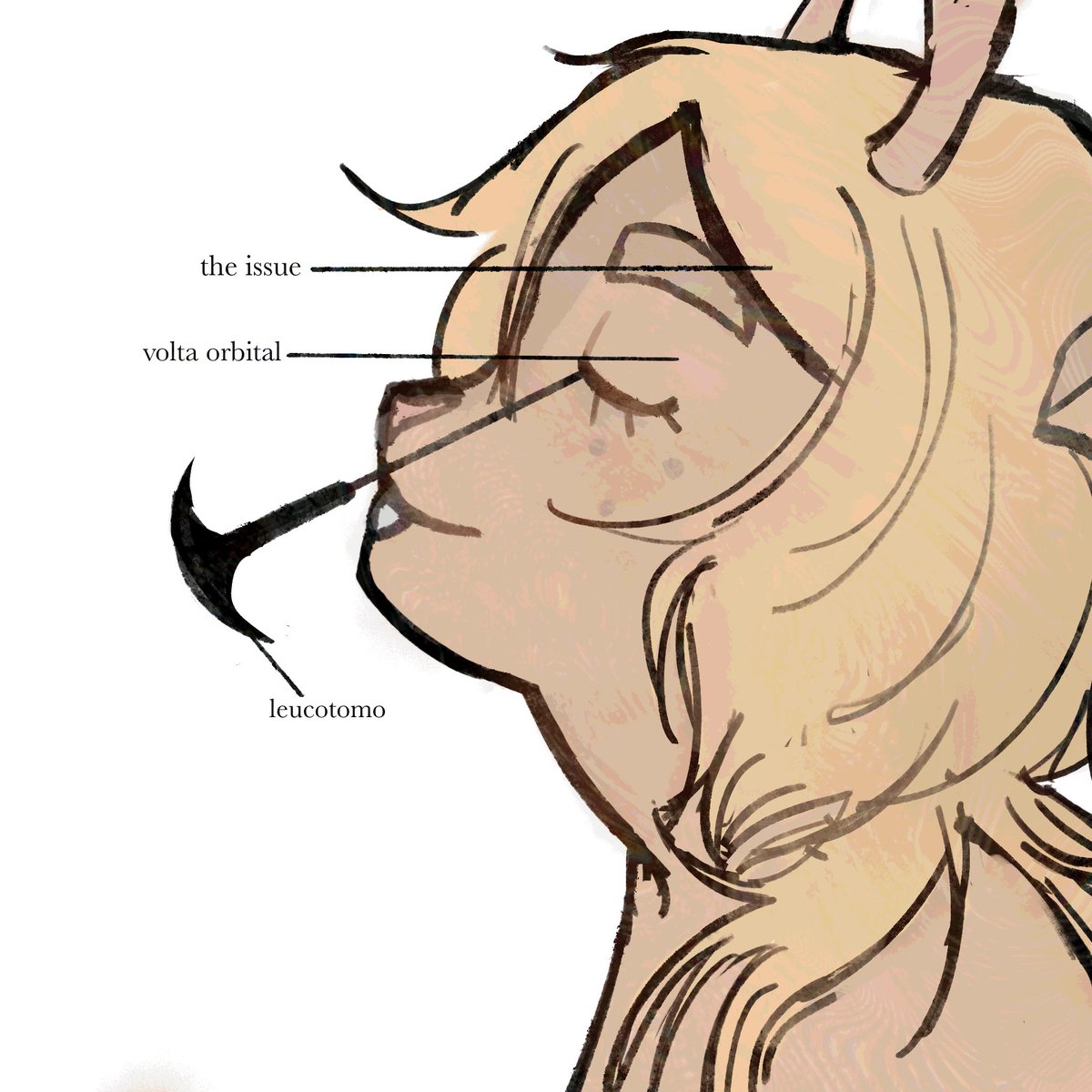 compitalgala's tweet photo. fix whatever's wrong with me.

#NoelleHoliday #Deltarune https://t.co/8kvfBWJ3k3
