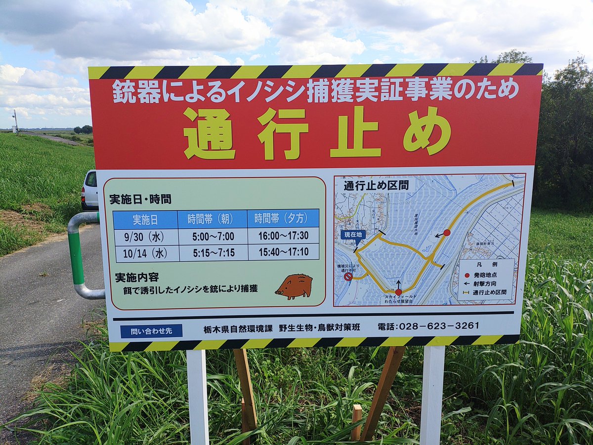 tochigi_hunting's tweet photo. 渡良瀬遊水地のイノシシ問題にいよいよメスが入ります。 https://t.co/PztoJKMb1W