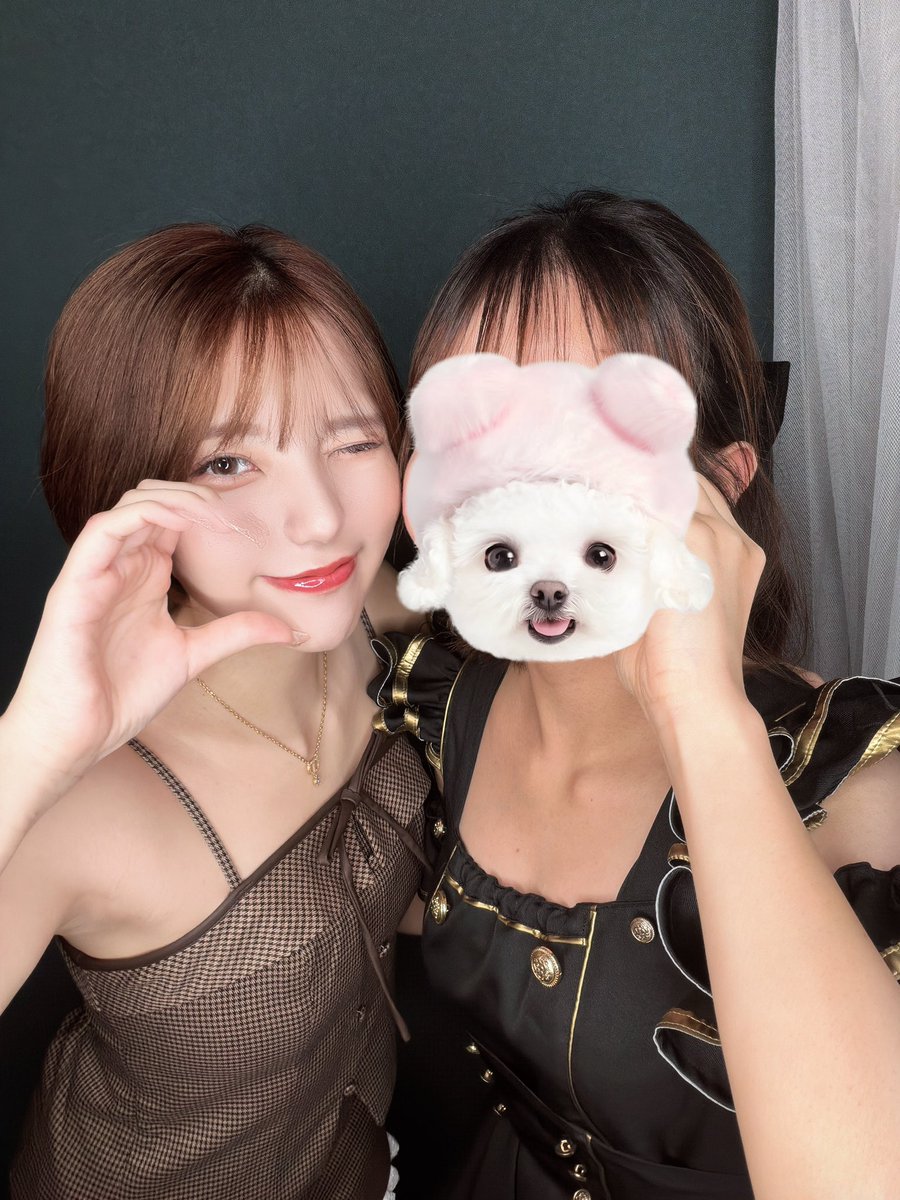 ema_Bijou's tweet photo. この間コンカフェデビューしてきた🫶🏻💕
可愛い女の子達にかわいい言われてしっぽ振って喜びました🐶♡

✧顔モザあり写真許可貰ってます https://t.co/IR8szLyDyc