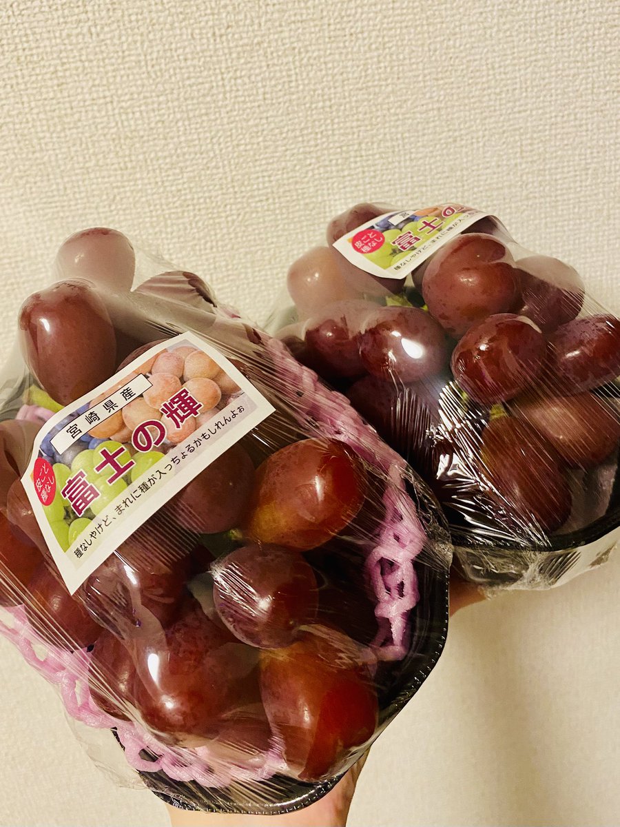 5no4_no72's tweet photo. ずっと食べたかった富士の輝を食べられたので、今年のぶどうはもう満足した。シャインマスカットとウインクっていう紫のぶどうが掛け合わさったやつ。皮や実の食感と甘さはめっちゃシャインマスカット感強いけど、あと味が紫のぶどうの感じ。好きな品種1位は今後これになりました。 https://t.co/5fcd0vCjvA