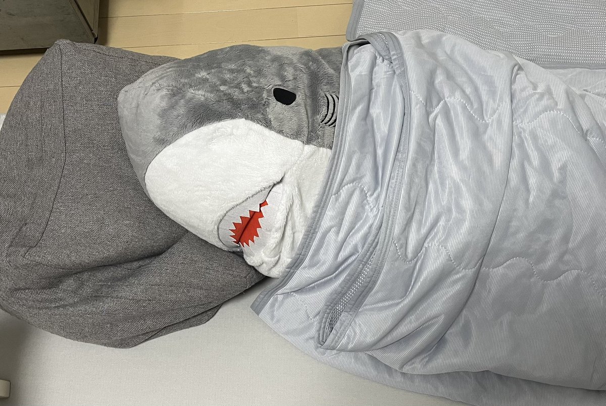 T3xrB8's tweet photo. うちのさめちゃん🦈 https://t.co/R6ovlhC2aa