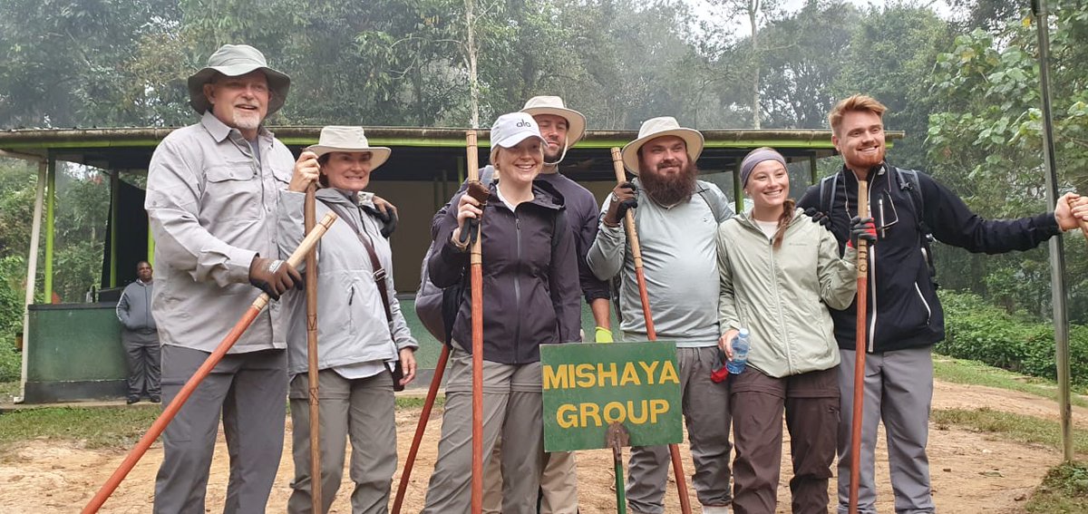 SafariChapter's tweet photo. When was the last time you tracked gorillas?

Well… there are new gorilla families, new stories, and a different experience waiting for you! 

Whether it’s your first trek or you’ve been before, every encounter in Uganda’s misty forests is unique. The trails change https://t.co/gnRhZCYmLZ