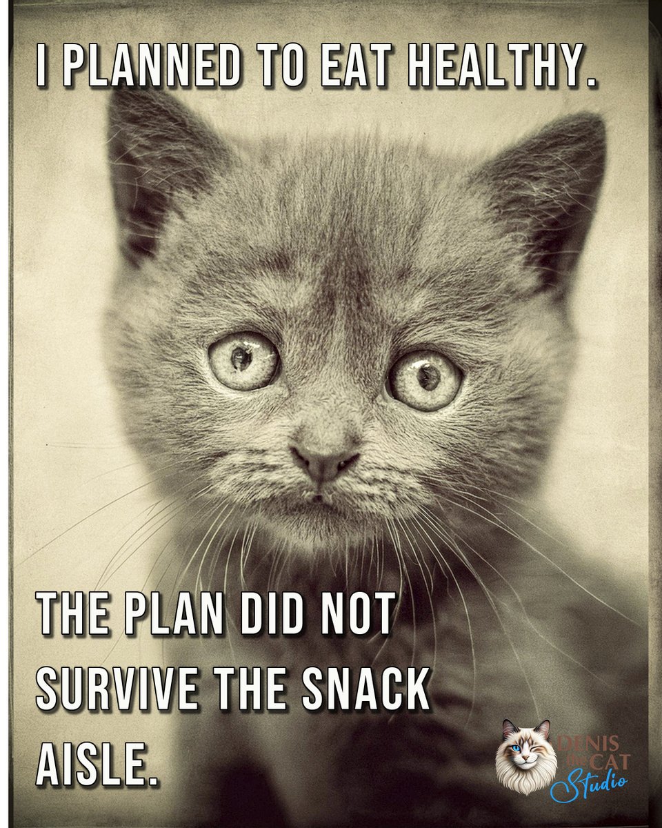 DenisTheCatStd's tweet photo. The salad is still waiting for an apology.

Which snack has veto power over your best intentions?

— Denis The Cat

#VintageKittyConfessions #DenisTheCatStudio https://t.co/iZfxBDQeBt