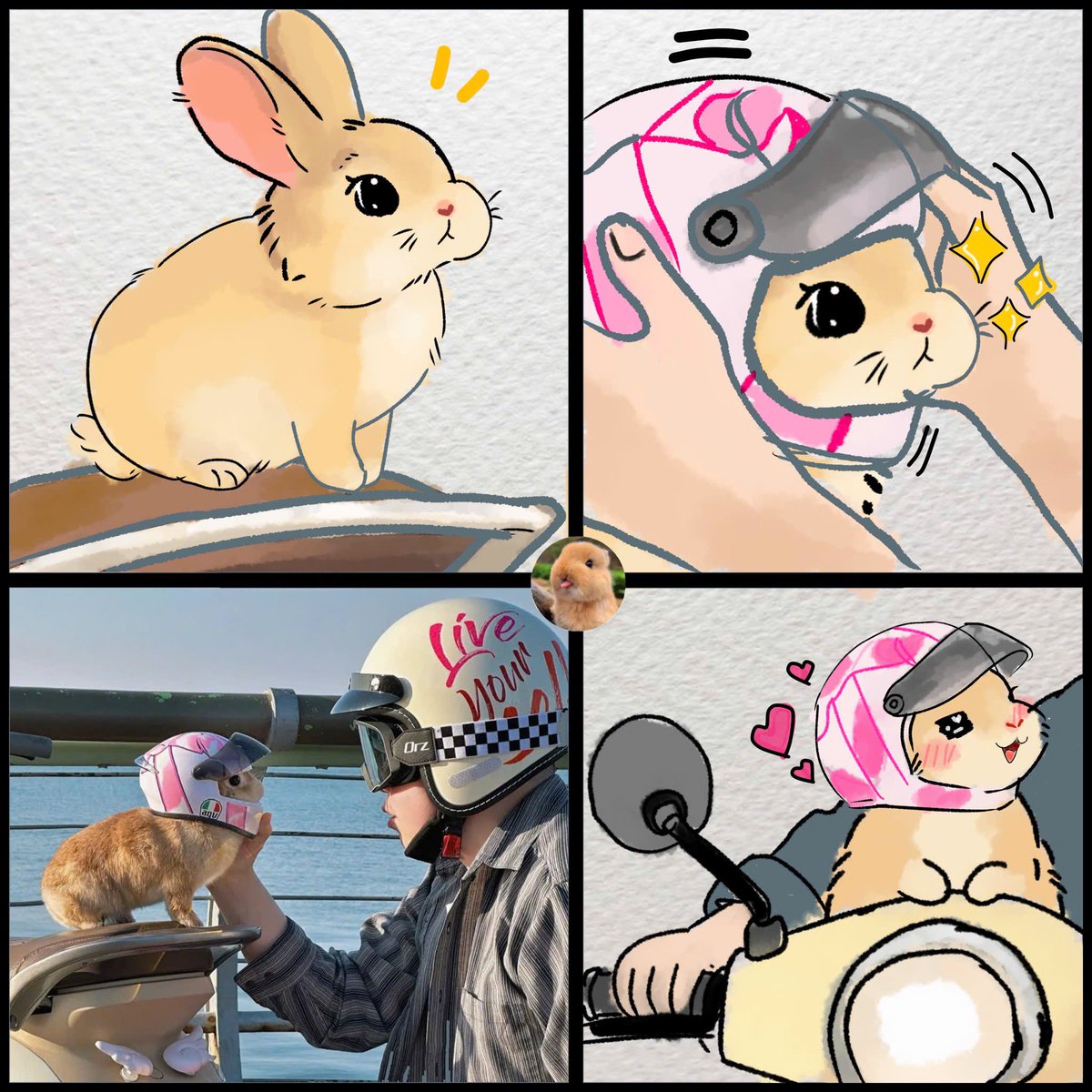 ShouldHaveRabit's tweet photo. Just a little bunny living his best life. https://t.co/wKEywUYfPS