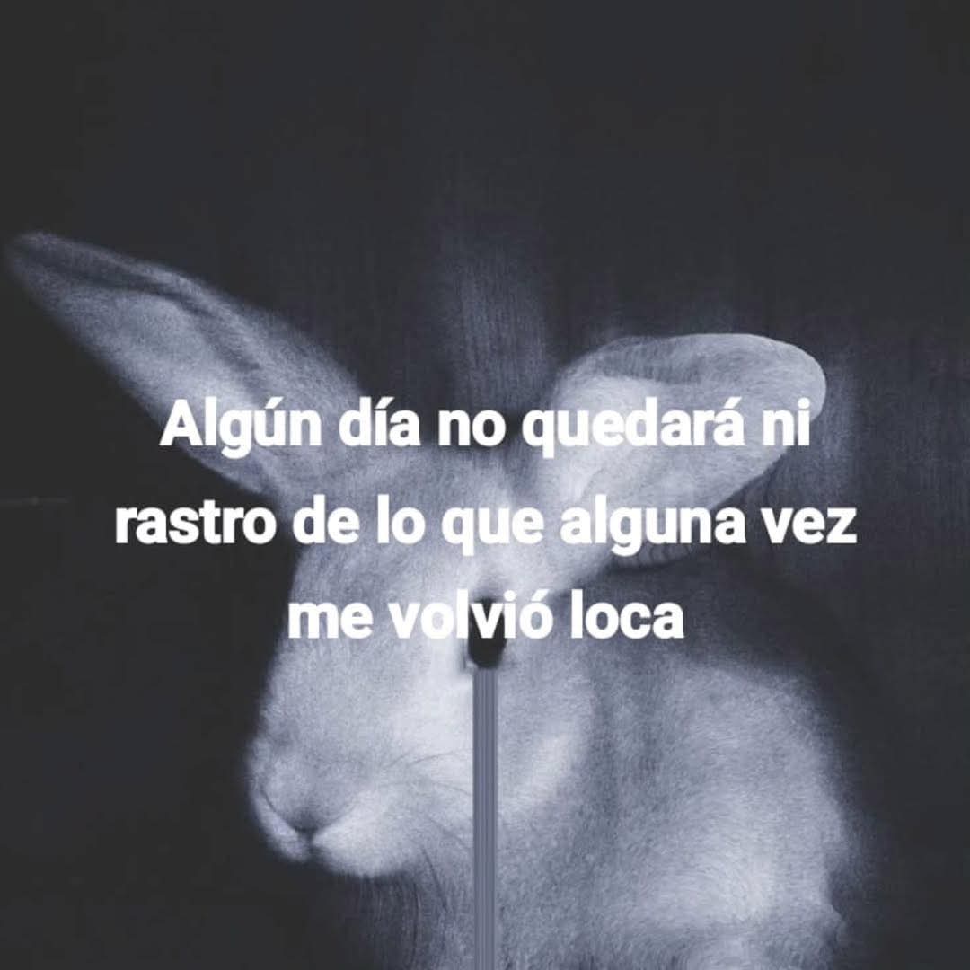 suspirxsalaire's tweet photo. Algún dia https://t.co/rPFMpkTRh8
