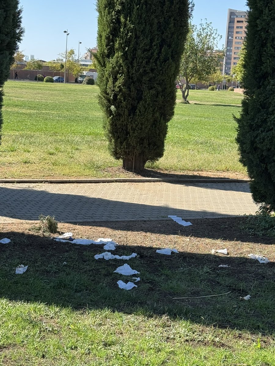 Eduardodeceanf's tweet photo. #Alcorcon cada vez peor.Y esto no tiene la culpa ningún gobierno. 
Se llama https://t.co/ebLtJMSQuO más,ni menos.
Hace unos años,el parque Mayarí era una pradera todo verde,hoy con huevos quemados,incluso que es todo tierra. 
Luego se quejan de la policía,pero como lo dejan… https://t.co/OUaaxBHTH6