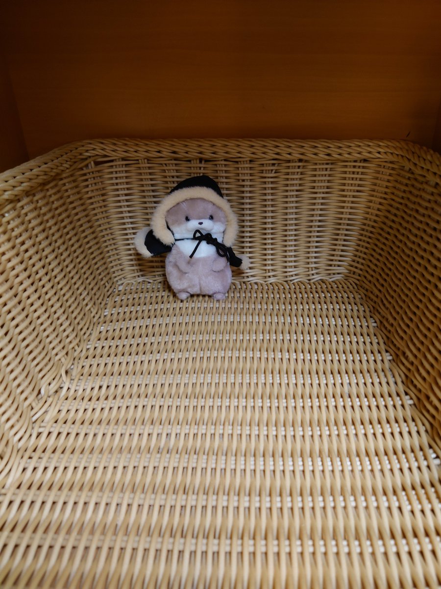 XYZ__48's tweet photo. #カワウソうそやん
#ぬい撮り
#ぬい活

職場の1泊旅行にこっそりついてきてます✨️
さすがにみんな来れないから
うそやん隊長だけお供してもらいました！

ʕ๑•ω•๑ʔ
みんなをだいひょうして
おともします！！✨️🫶 https://t.co/HhupZEj3Os
