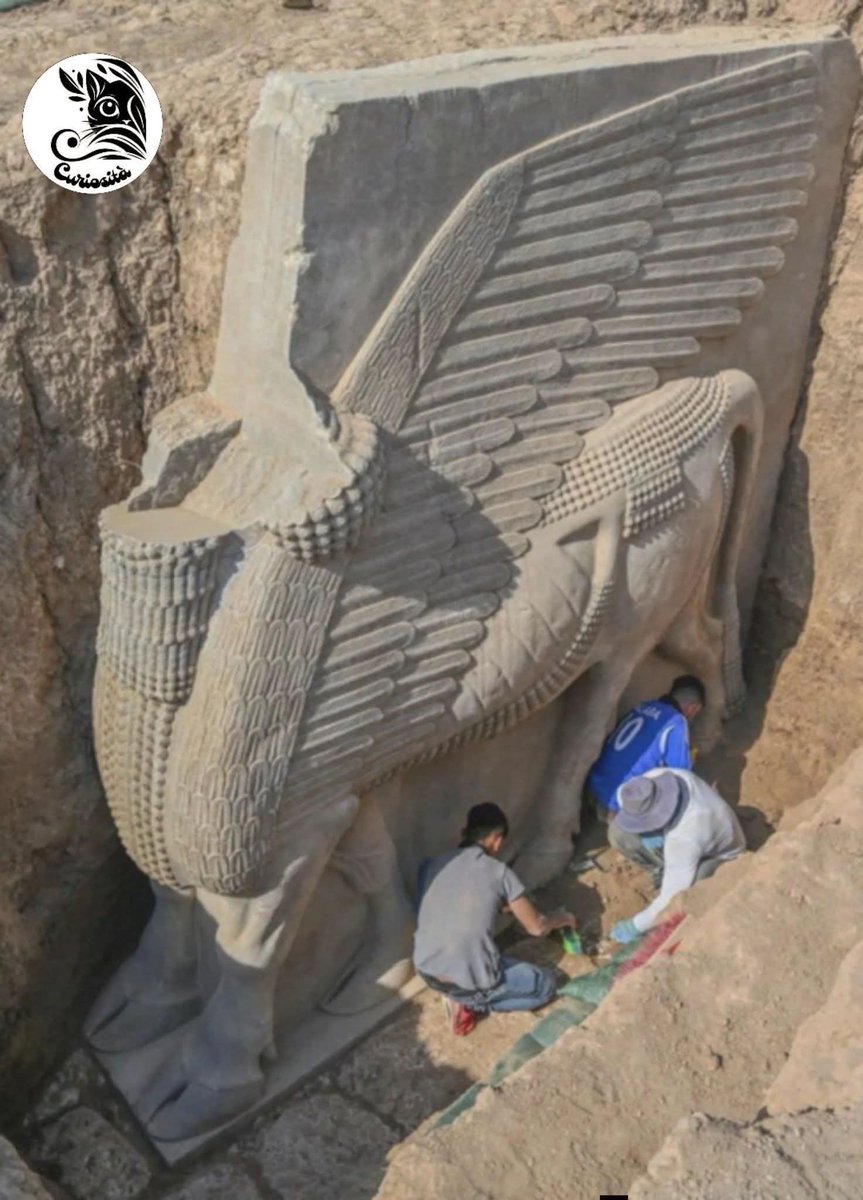alma20122014's tweet photo. Un gigantesco lamassu assiro di 2.700 anni, scolpito nell’alabastro e pesante 18 tonnellate, riportato alla luce nell’ottobre 2023 a Khorsabad, in Iraq. La statua, alta quasi 4 metri, fu sepolta per proteggerla dai saccheggi e dalla distruzione durante gli anni del conflitto. https://t.co/yYDeaISrR6