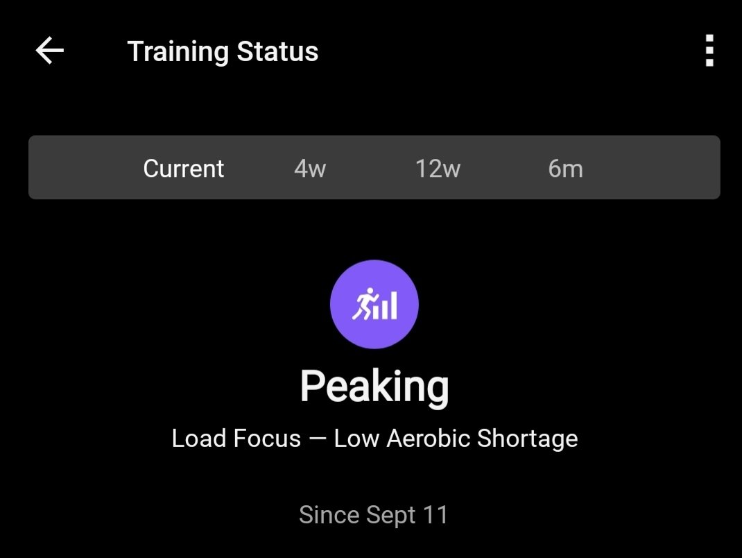 aravindbaskaran's tweet photo. Are you okay @Garmin, sounding a bit too positive aren't we 🧐

Purple streak indeed, keep working hard i suppose on all fronts 🫡 https://t.co/yH5YmLEvwo